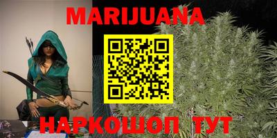 индика Моздок